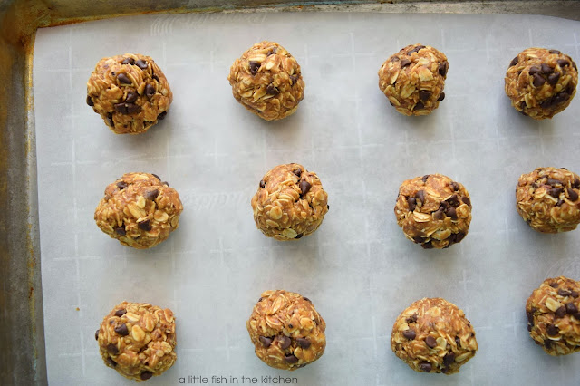 A fresh batch of oat, maple energy bites is ready to enjoy. Hearty oats, sweet chocolate chips and peanut butter are all visible in these no-bake cookies. 