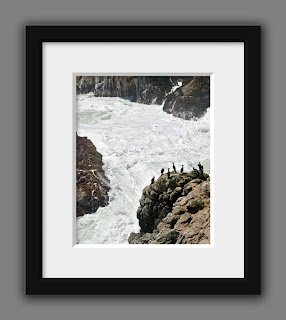 A group of cormorants rest on the rocky coastline of the turbulent Pacific Ocean.