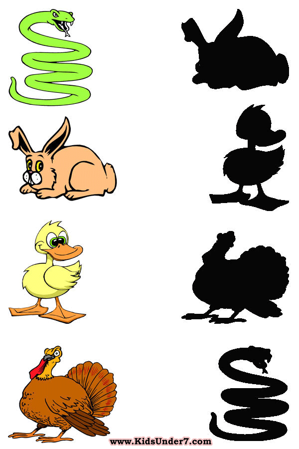 Kids Under 7 Shadow Worksheets