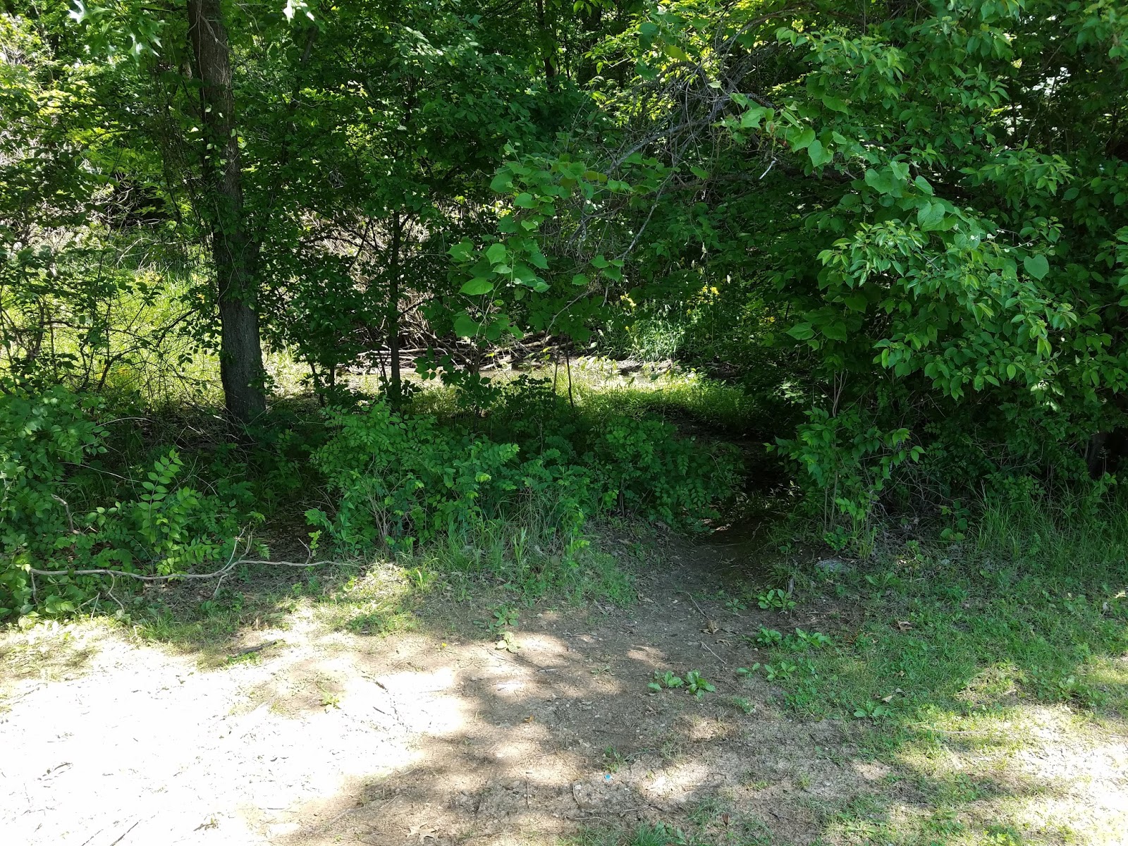 Play St. Louis Rabbit Run Park, St. Peters