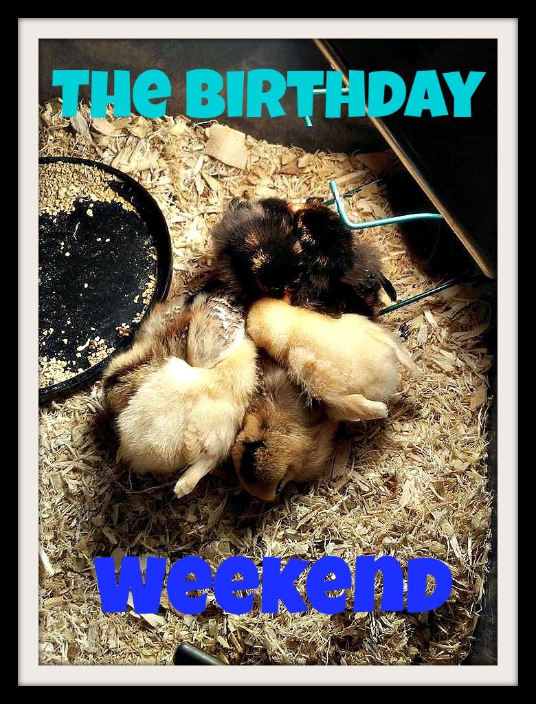 Mixed Bag Mama The Birthday Weekend