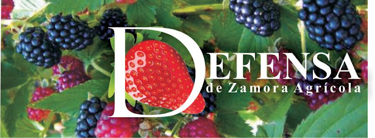 Defensa de Zamora Agrícola