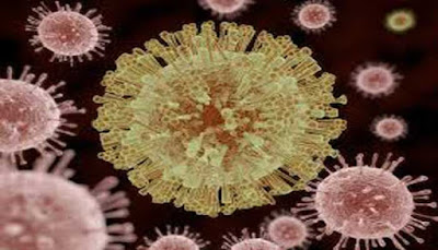  merupakan benalu mikroskopik yang menginfeksi sel organisme biologis INILAH 10 VIRUS PALING MEMATIKAN DI DUNIA