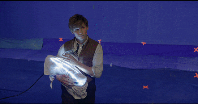 Addicted to Eddie More on the visuals in Fantastic Beasts