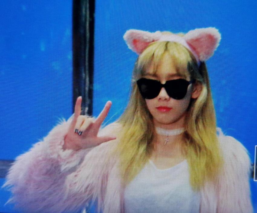 오늘 태연 출근길 (냥이코스프레) | 인스티즈