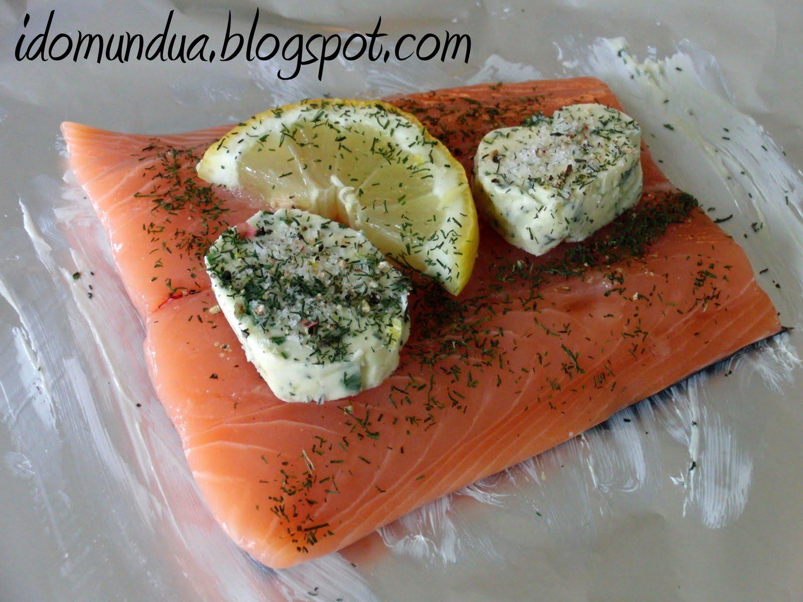 idomundua SALMÓN EN PAPILLOTE CON ENELDO