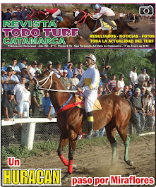 REVISTA Nº 1 - 2016