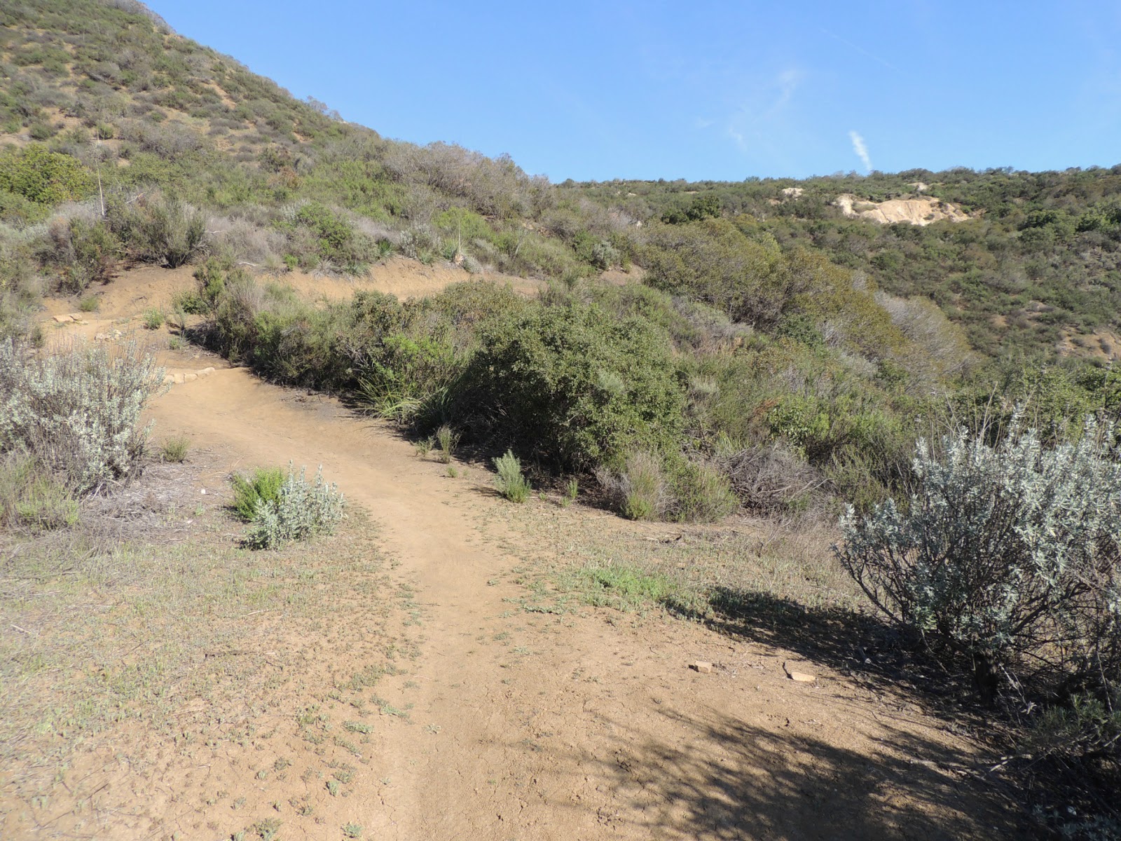 1000 Hikes in 1000 Days Day 850 Calabasas Cold Creek Trail Secret