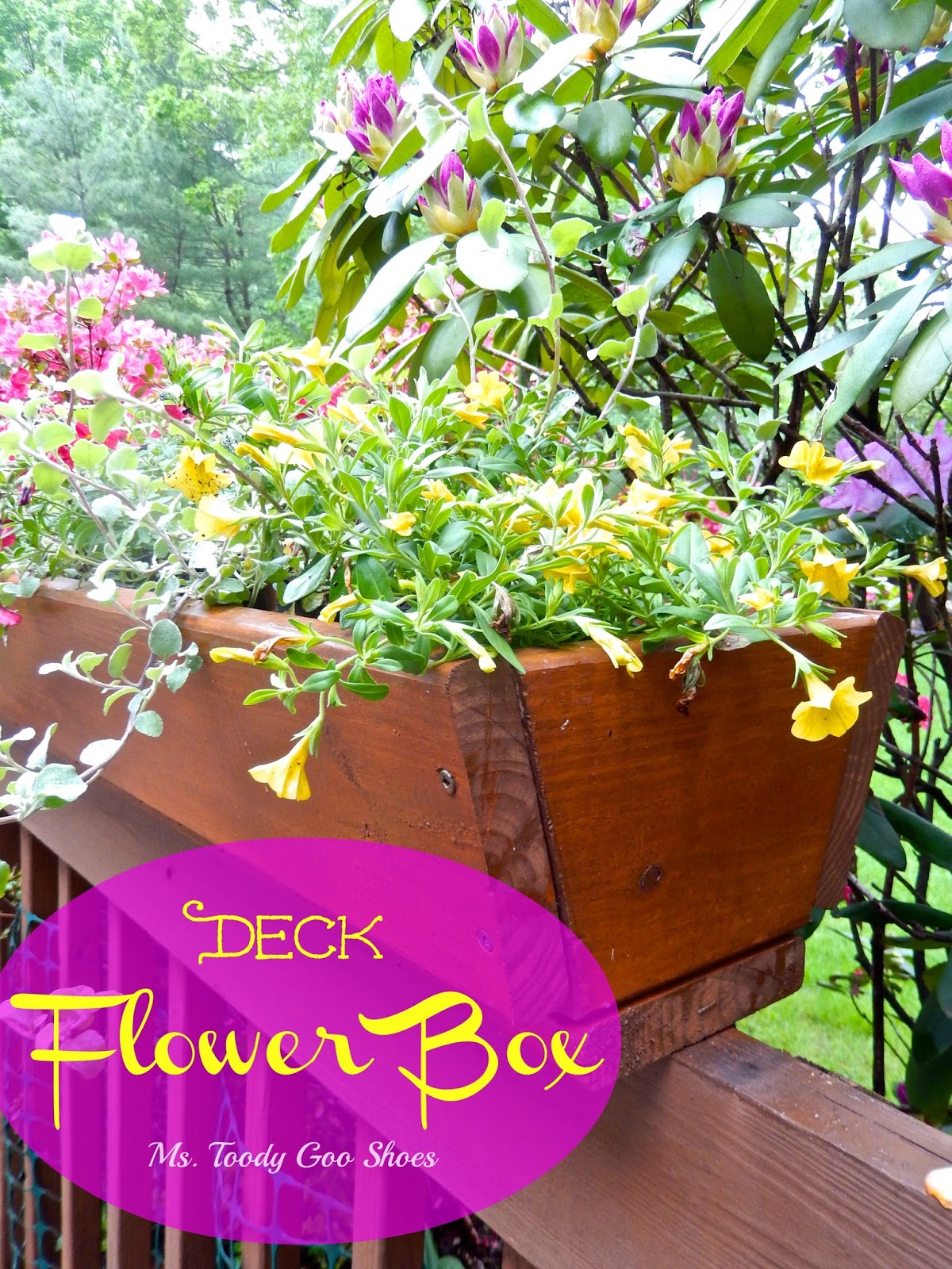 Make A Flower Box For The Deck --- Ms. Toody Goo Shoes