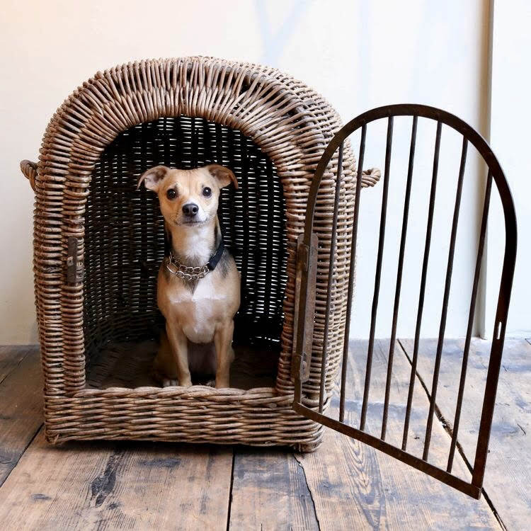 Terrierman's Daily Dose Edwardianera Wicker Dog Crates for Rail Travel