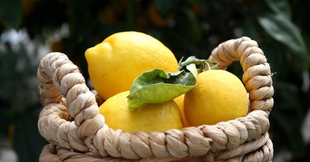 Hello Hungry!: Fresh, From-the-Tree, Lemonade