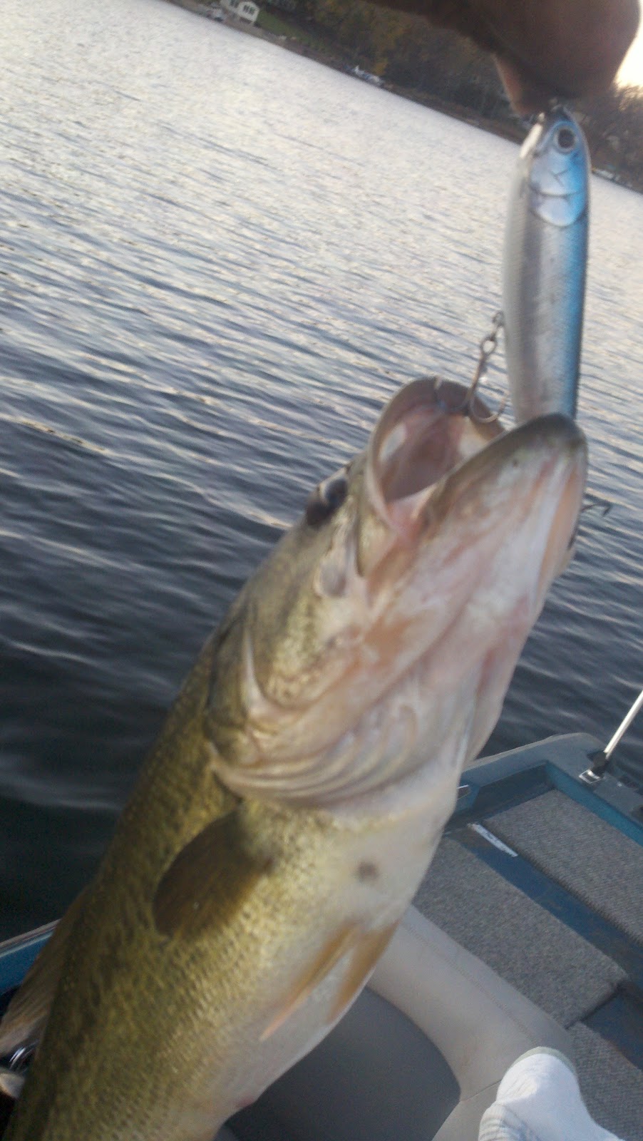 Weatherby Lake Fishing AMAZING ACCIDENT