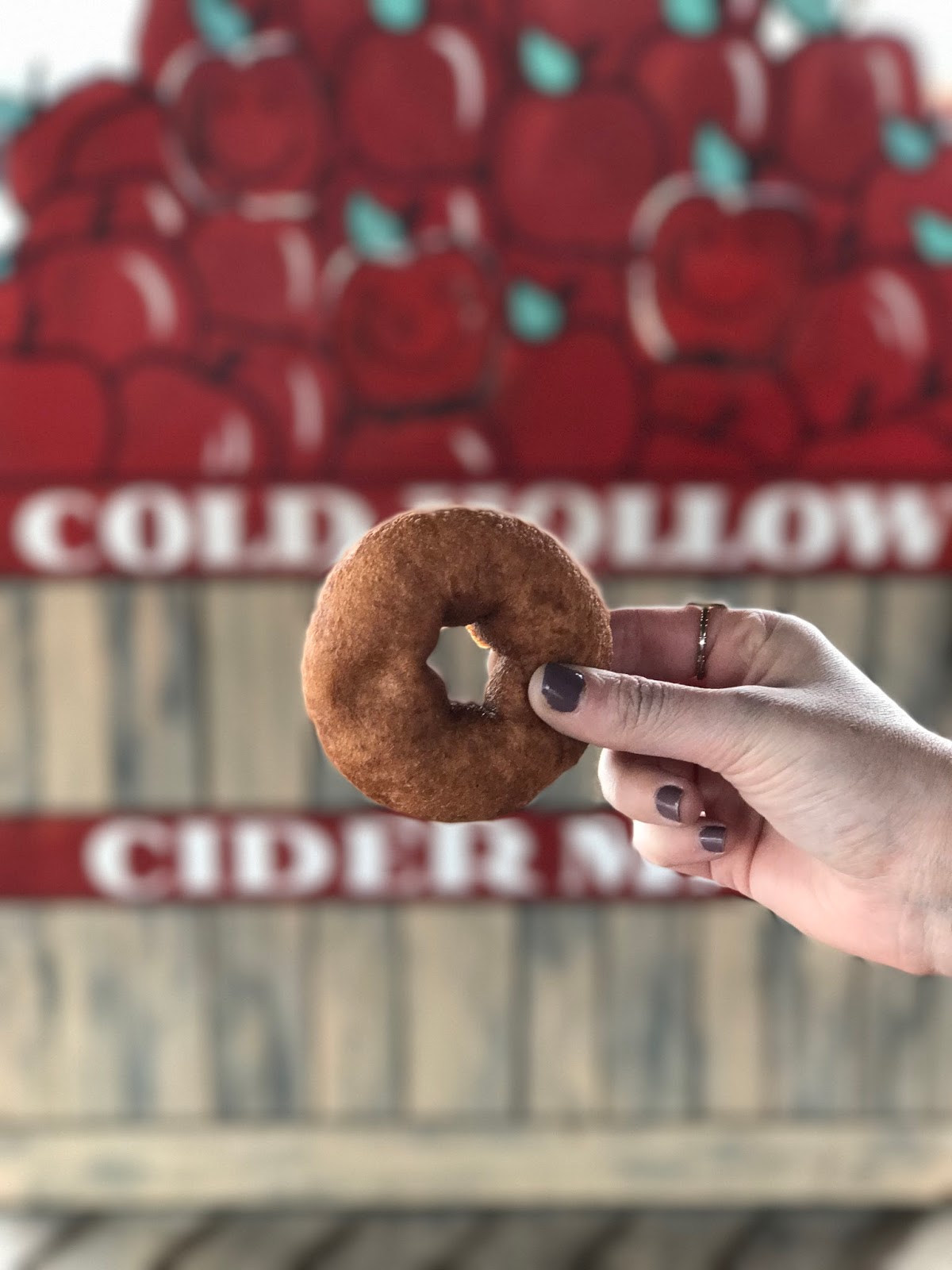 cider donut, cold hollow cider, tourist attraction stowe, vermont, what to do in stowe
