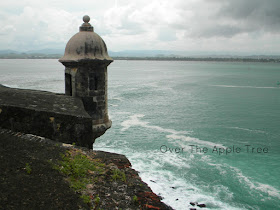 Puerto Rico, Wordless Wednesday by Over The Apple Tree