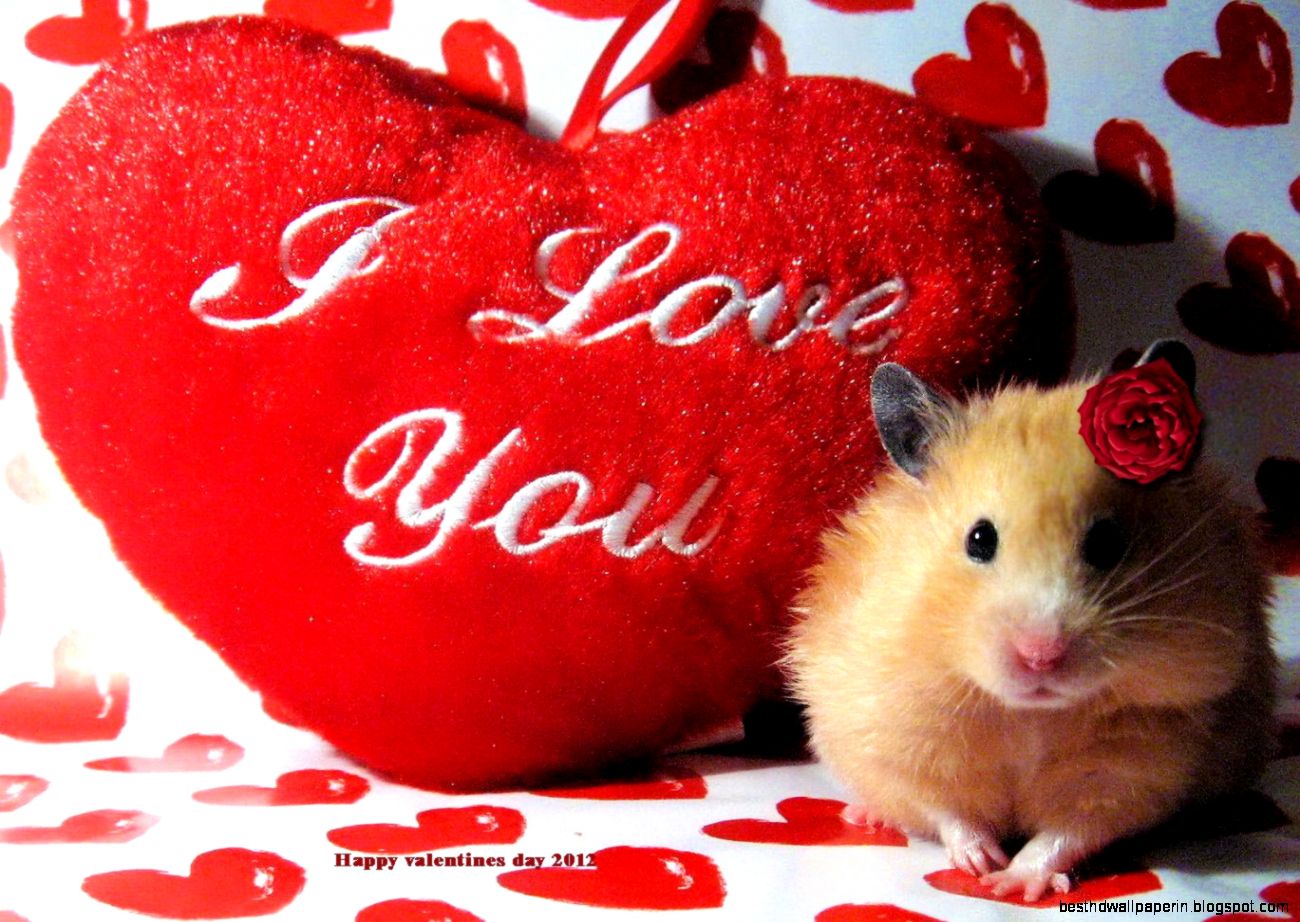 Adorable hamster says i love