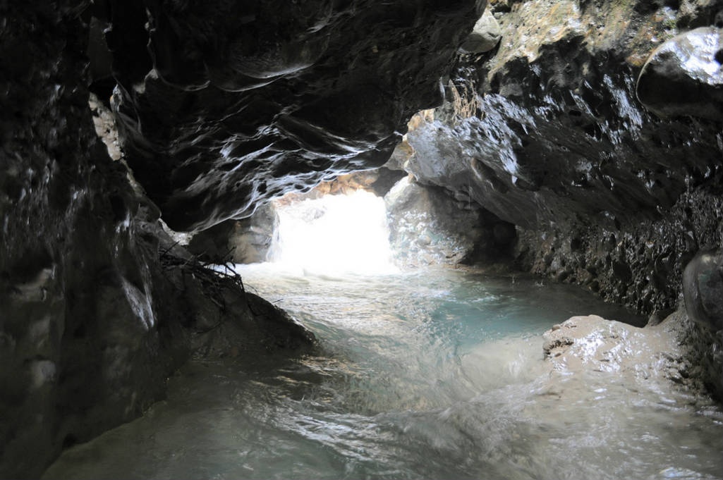 Hotel Beechwood Mussoorie