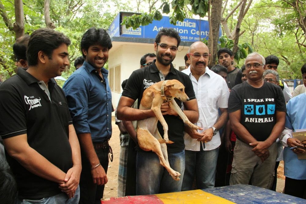 Naaigal Jaakirathai Movie Team Adopts injured Dog Photos!!!