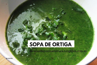 Sopa de Ortiga