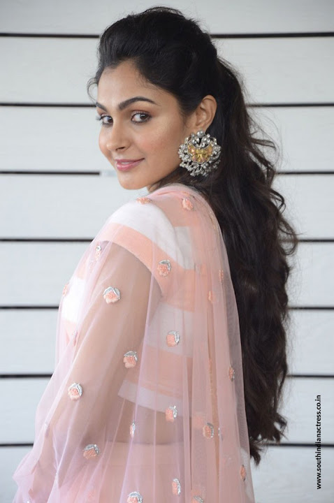 Andrea Jeremiah at Detective Movie Interview