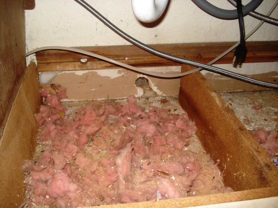 Home Repair Adventures: rat nest below kitchen sink
