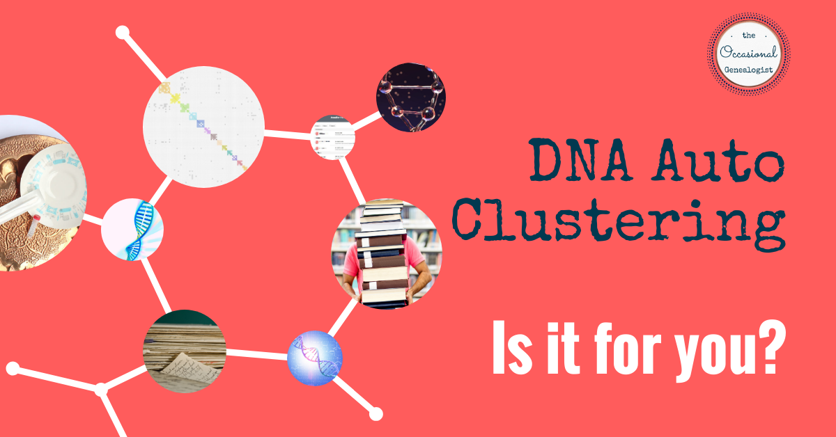 Should you try auto-clustering for your DNA matches? | The Occasional Genealogist