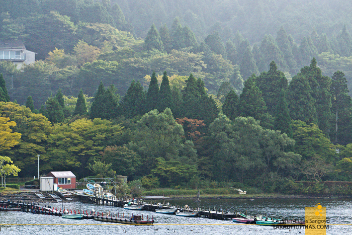 Hakone Free Pass Hakone Sightseeing Cruise