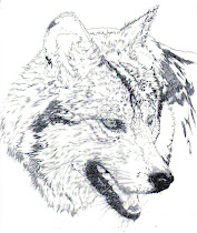 'Wolf Study'