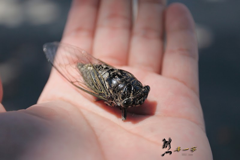 新城天主堂|新城神社遺址|新城古蹟景點