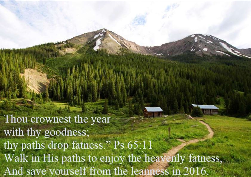 Thou crownest the year with thy goodness