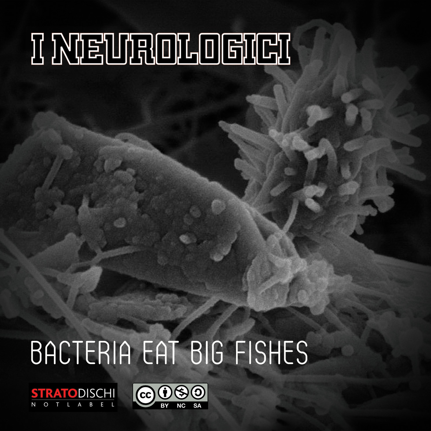 I Neurologici – Bacteria Eta Big Fishes