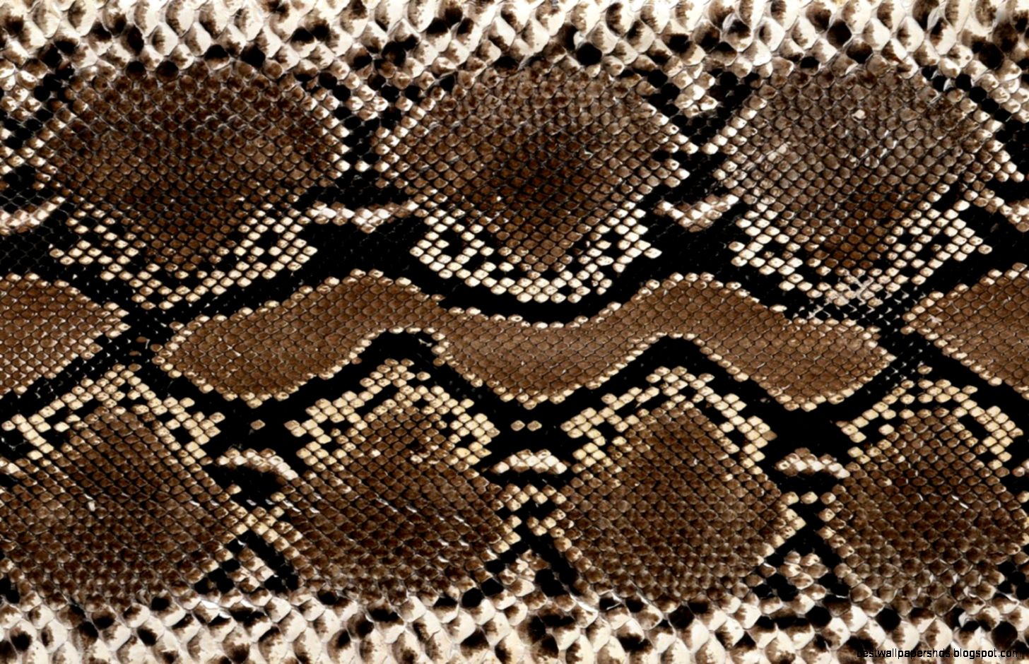 Snake Skin Wallpaper   Srau Home Designs