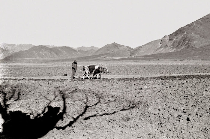 Tibet, Shalu, © L. Gigout, 1990