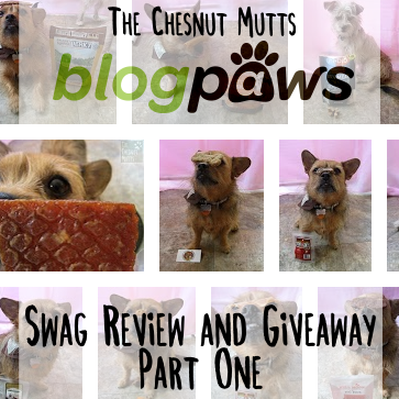 The Chesnut Mutts BlogPaws Swag Review and Giveaway Part One