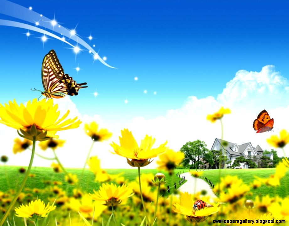 Spring Flowers And Butterflies Wallpaper