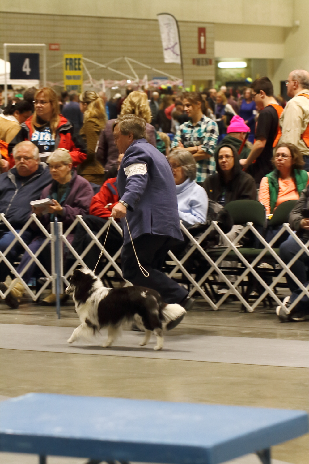 Just People The LandOLakes Dog Show The Shetland Sheepdog