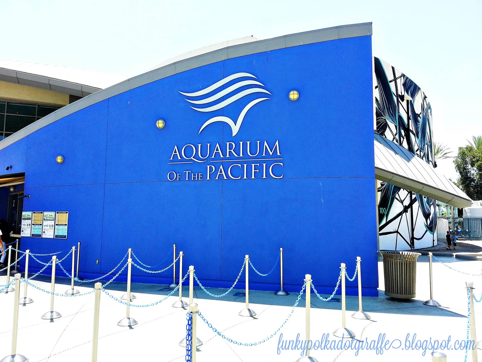 Funky Polkadot Giraffe Aquarium Of The Pacific Whale Watching Excursions
