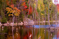Mine ponds in the fall