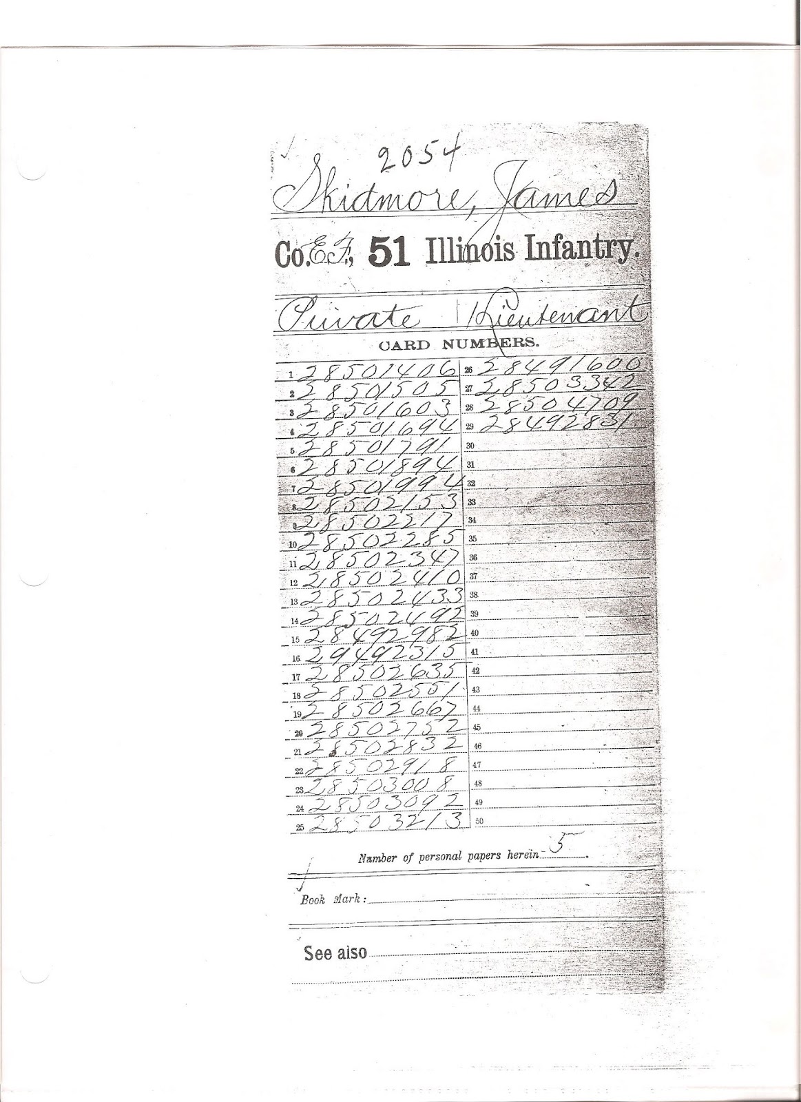 Michael G Skidmore James Skidmore 51st Illinois infantry 1st Lt.