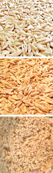 Image shows raw, toasted and ground almond as a guide to appearance.