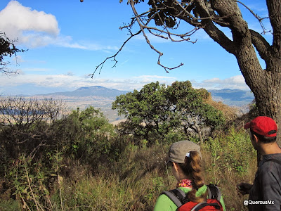 Cerro San Miguel (izq.) y Cerro Planillas (der.) - Bosque la Primavera