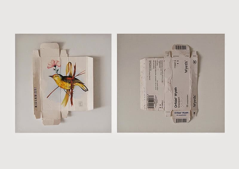 Birds Painting on Unfolded Medicine Boxes
