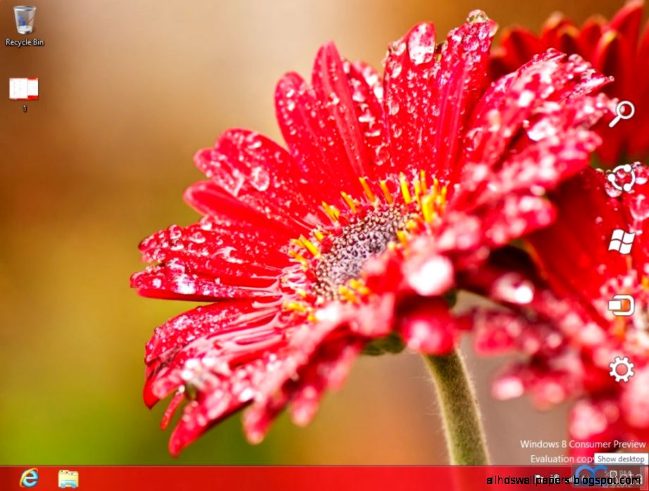 Download Windows 8 Nature Themepack   Windows 8   WinMatrix