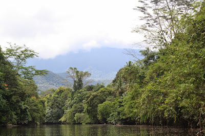 Mulu National Park Mulu National Park borneo rejse