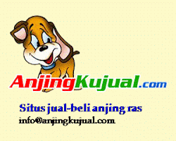 www.anjingKujual.com