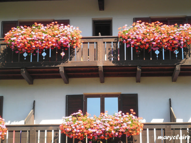 FIORI SUI BALCONI DELLE CASE DI MONTAGNA, ECCO LA STORIA