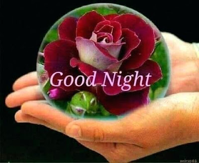 good night good night
