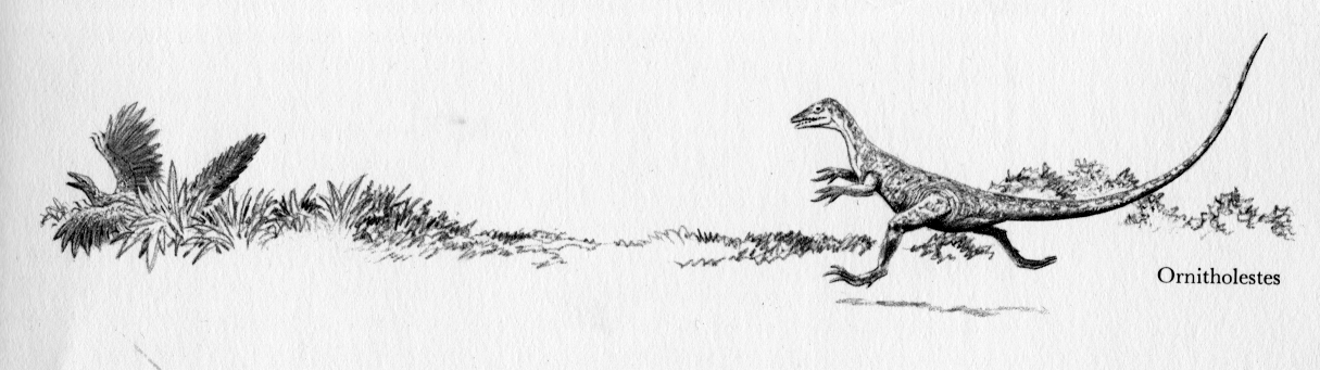 Love in the Time of Chasmosaurs: Vintage Dinosaur Art: Album of ...