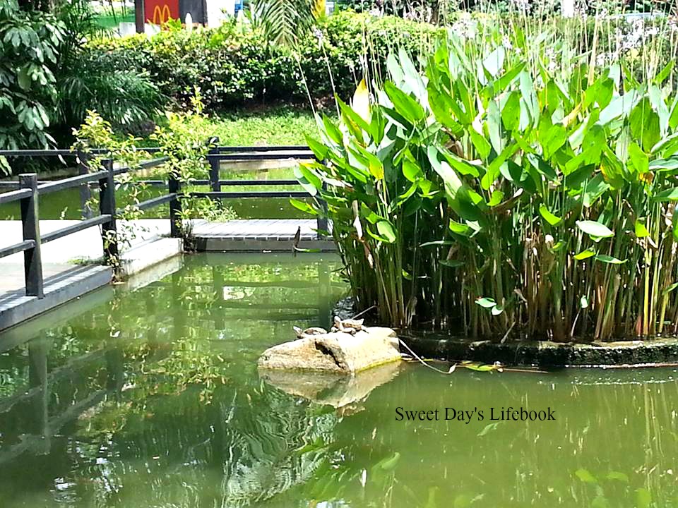 Sweet Day's Lifebook Exploring neighbourhood Queenstown's Ridout Tea