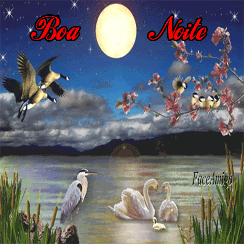 passaros_no_lago_c794cc705fbce4c7b13bd21