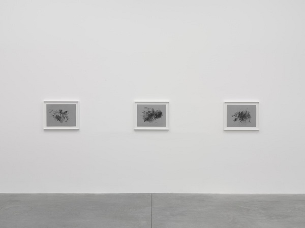 Christine Ay Tjoe - "Black, Kcalb, Black, Kcalb" - White Cube Bermondsey installation 2018 - abstract paintings